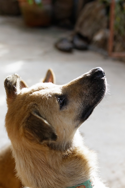 Famille et amis NOV12-052